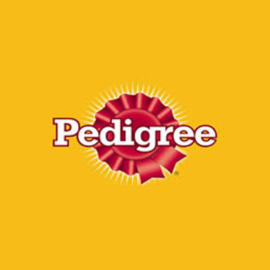 Social media strategy for Pedigree Adoption Drive 2010